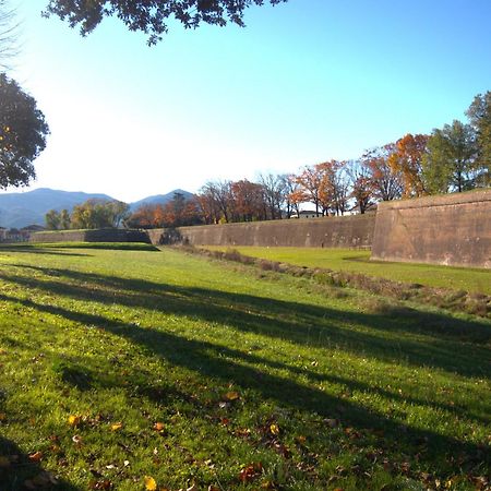 Appartamento Via Grandi - Free Gated Parking - 5 Minutes From Center Lucca Exteriér fotografie